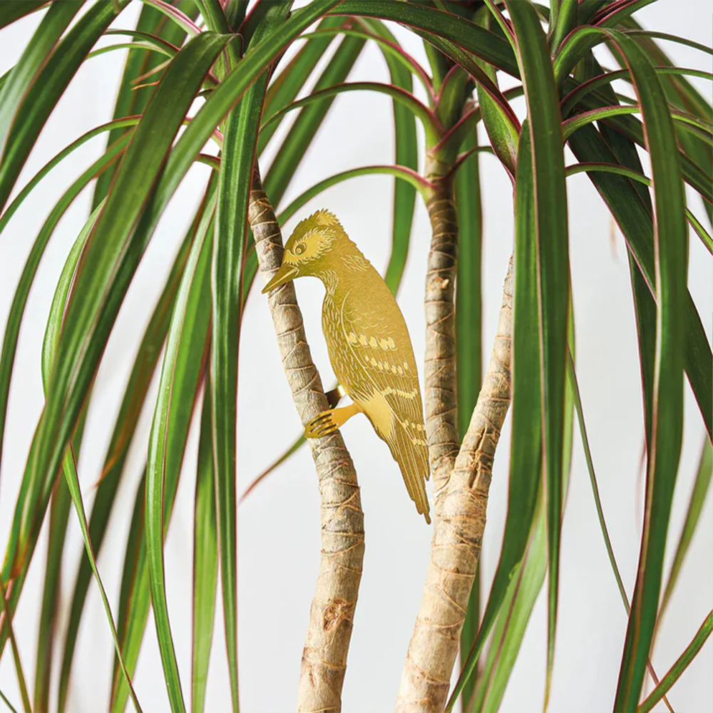 Plant Animal Woodpecker