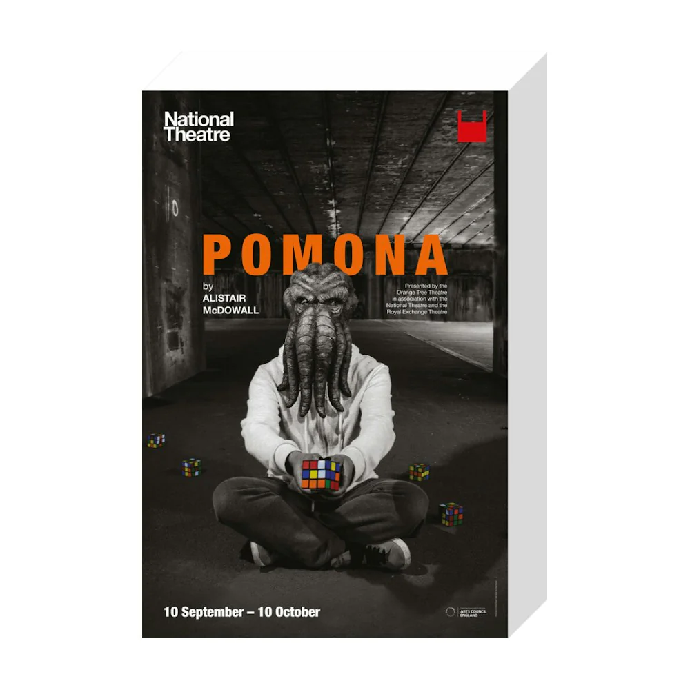 Pomona 2015 Print - Image 19