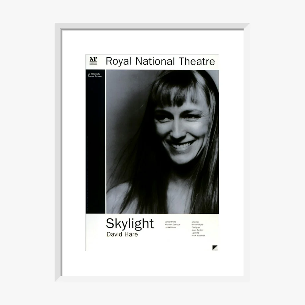 Skylight 1995 Print - Image 12
