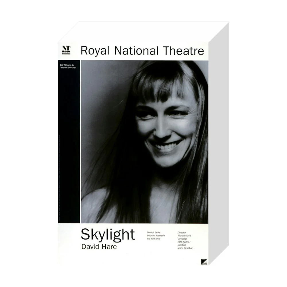 Skylight 1995 Print - Image 18