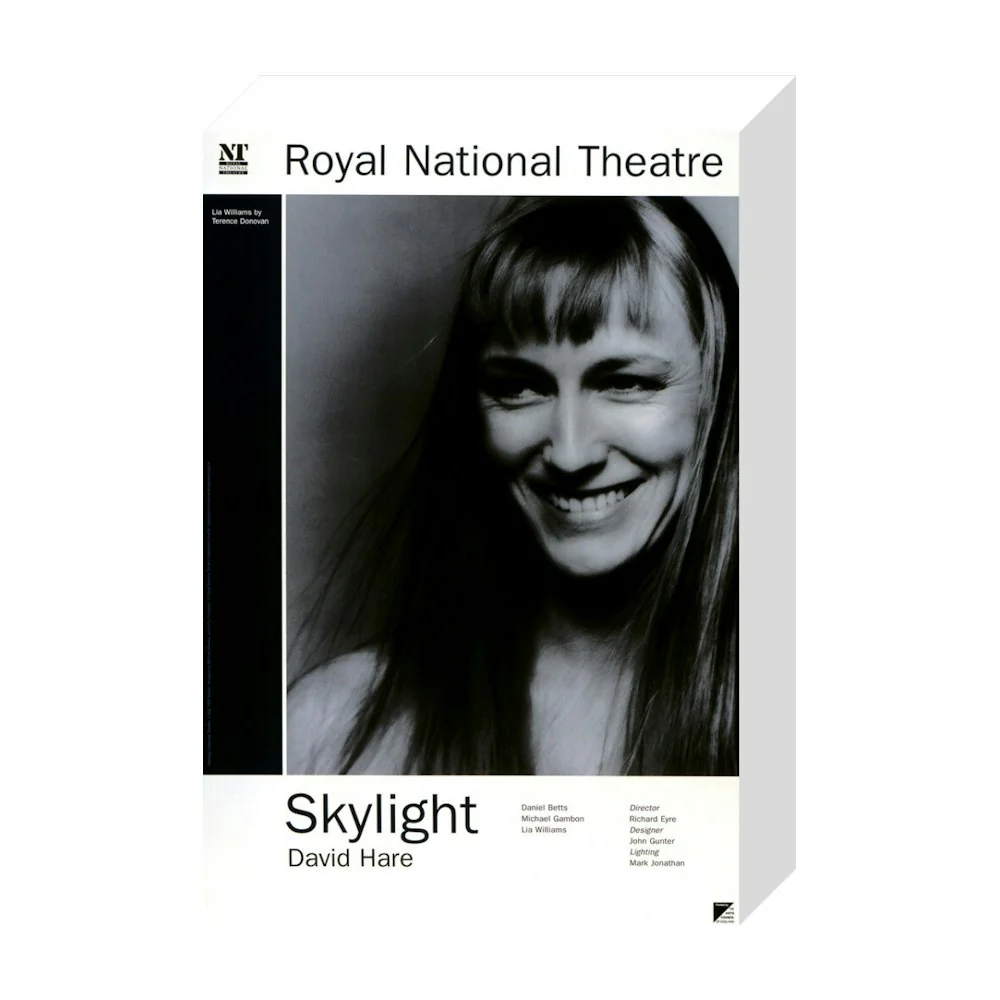 Skylight 1995 Print - Image 19