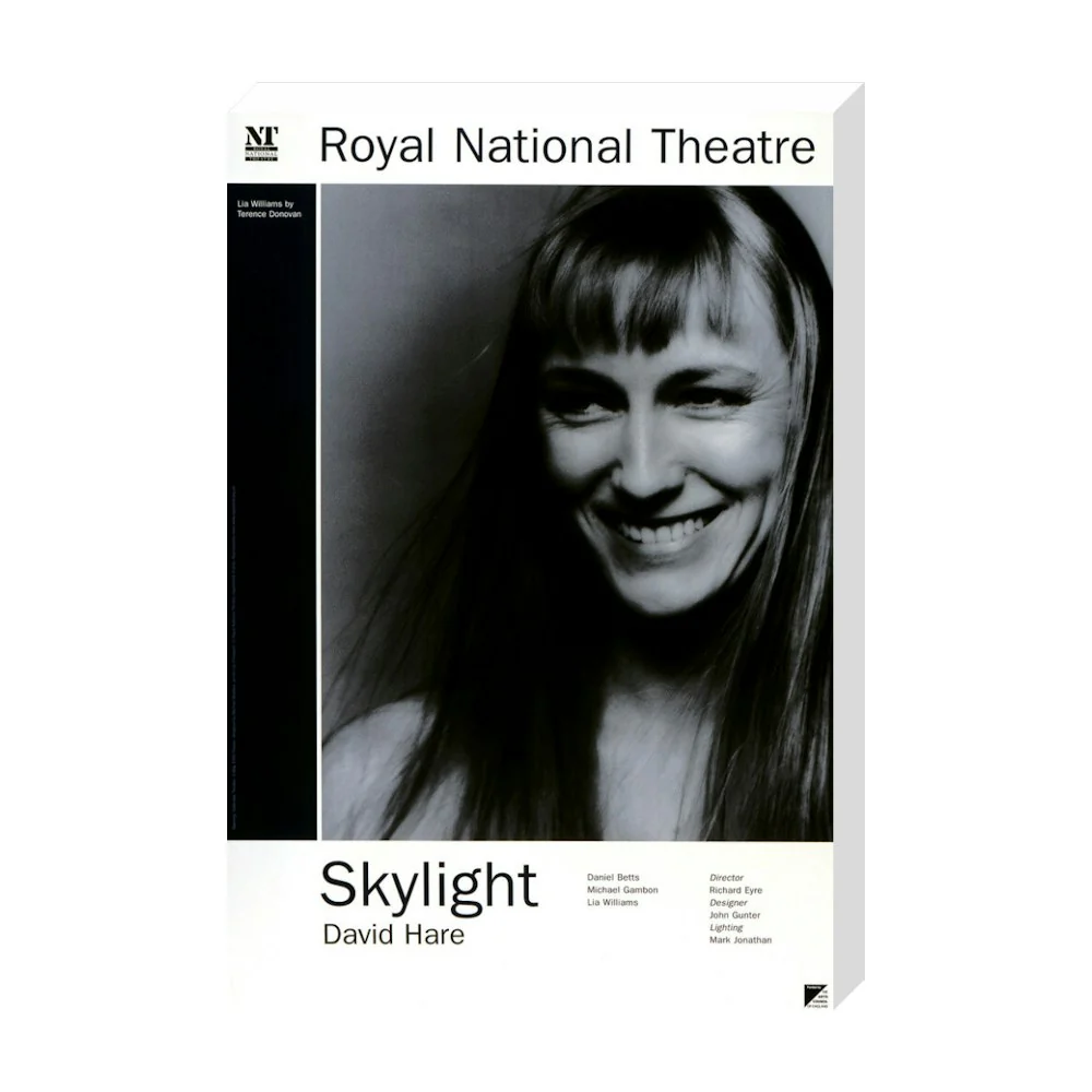 Skylight 1995 Print - Image 21